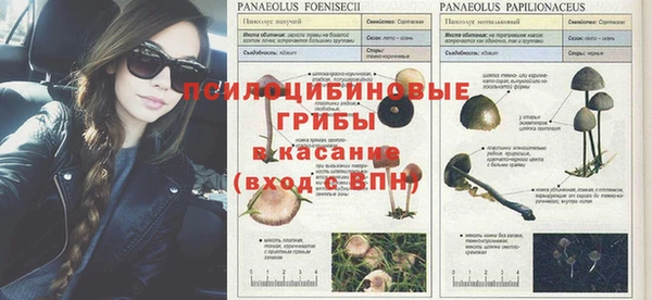 MESCALINE Зеленодольск
