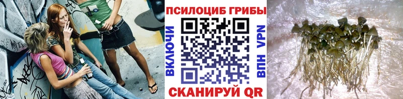 Галлюциногенные грибы Magic Shrooms  Купить закладки  Урень 